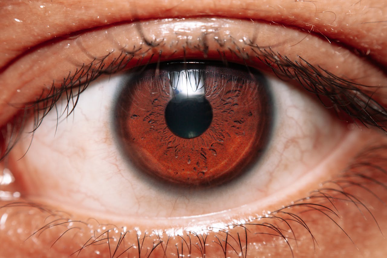 A close-up of a human eye showcasing the intricate details of the brown iris and eyelashes.